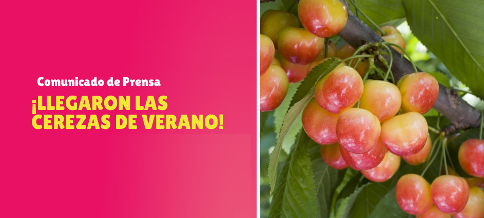 ¡Llegaron las Cerezas de Verano®!