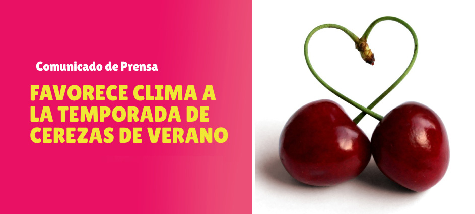 Favorece clima a la temporada de Cerezas de Verano®
