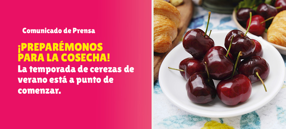 ¡Preparémonos para la cosecha! La temporada de Cerezas de Verano® está a punto de comenzar