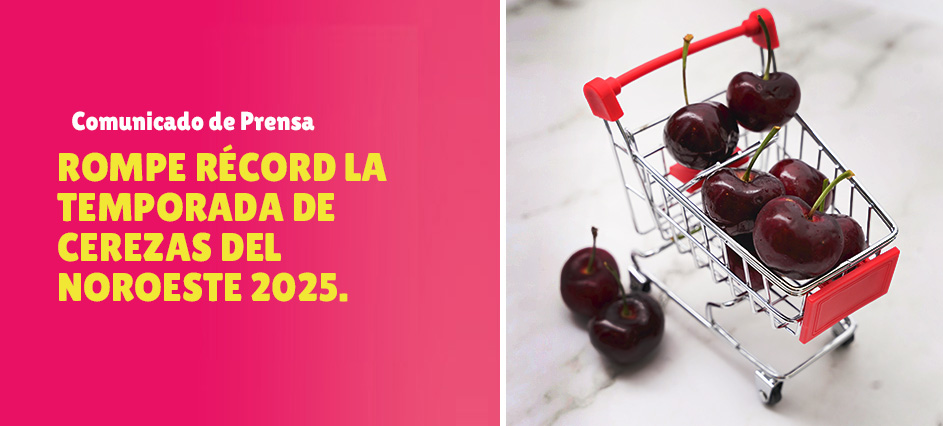 Rompe récord la Temporada de Cerezas del Noroeste 2025